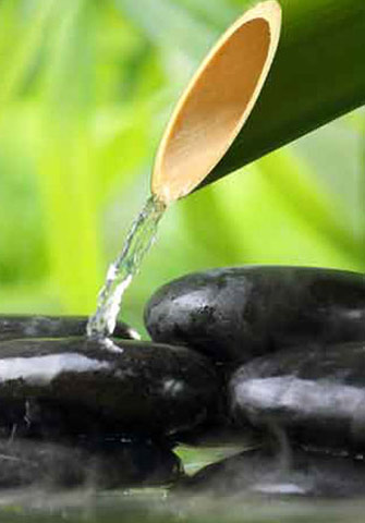 Linda Perkins Skin Care Services